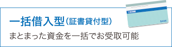 一括借入型(証書貸付型)　まとまった資金を一括でお受取可能