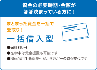 資金の必要時期・金額がほぼ決まっている方に！　まとまった資金を一括で受取り！　一括借入型