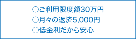 ○ご利用限度額30万円　○月々の返済5,000円　○低金利だから安心